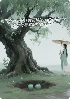 碎瓷记无弹窗在线阅读