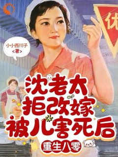 熬夜也要看完的沈老太拒改嫁被儿害死后重生八零小说推荐-二筒文学网