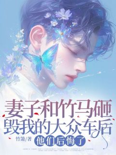 妻子和竹马砸毁我的大众车后，他们后悔了(新书)小说_许斯年沈星希阅读