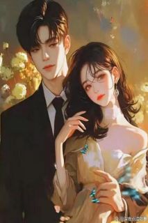 十年一朝与君辞小说(完本)-苏婉宁谢临渊沈浩泽无错版阅读