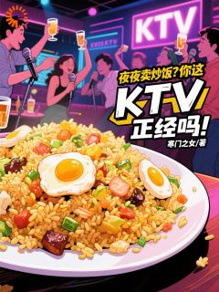 夜夜卖炒饭？你这KTV正经吗！by寒门之女
