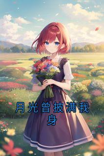 月光曾披满我身小说最后结局，江宁夏寻寒彦百度贴吧小说全文免费