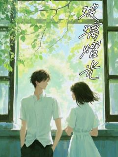 宋清瑜林叙全章节阅读-玻璃褶光全文分享阅读