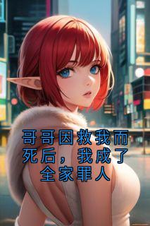 哥哥因救我而死后，我成了全家罪人小说主角是陆星月林婉全文完整版阅读-二筒文学网