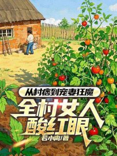 从村痞到宠妻狂魔，全村女人酸红眼小说全集(江辰沈如玉)无弹窗广告阅读-二筒文学网