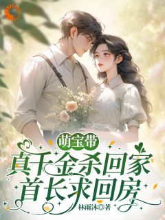 萌宝带真千金杀回家，首长求回房叶沐琳陆昊军全章节在线阅读