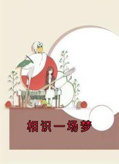 爆款小说相识一场梦主角林梨傅聿珩全文在线完本阅读