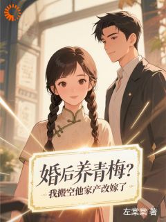 值得熬夜看完的婚后养青梅？我搬空他家产改嫁了小说阅读-二筒文学网