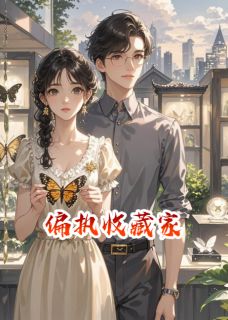 三条街的辛岩柏写的小说偏执收藏家温婉祁琛全文阅读-二筒文学网