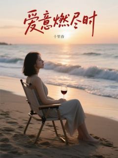 宋暖贺瑞阳何雨佳全集小说_爱意燃尽时完结版阅读-二筒文学网