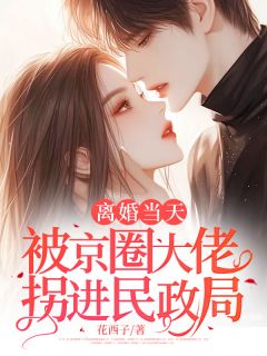 离婚当天被京圈大佬拐进民政局(花西子)最佳创作小说全文在线阅读-二筒文学网