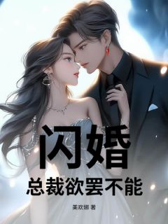 优质新书闪婚，总裁欲罢不能最新章节小说全文阅读-二筒文学网