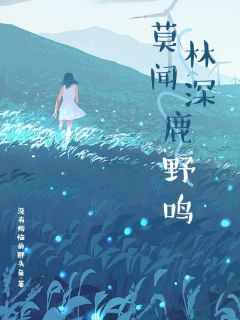 主人公沈川鹿绫洛雨柔小说莫闻林深鹿野鸣在线全文阅读-二筒文学网