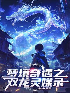 梦境奇遇之双龙灵媒录唐雨辰苏清玥最新章节在线阅读