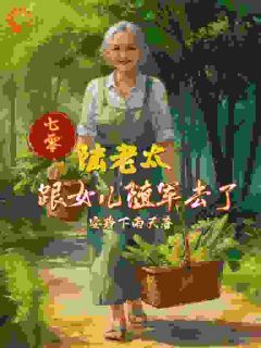 陆婉芝姜珊七零，陆老太跟女儿随军去了完结版小说全文免费阅读