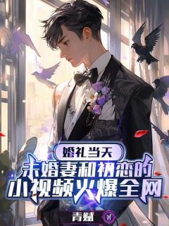 （全本）婚礼当天，未婚妻和初恋的小视频火爆全网主角宋辞白薇全文目录畅读