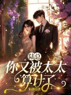 精品小说陆总，你又被太太算计了全文目录畅读