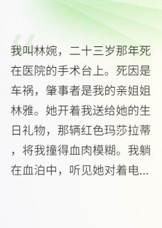 二十三岁重生：这次我要主宰一切陆景琛林雅江浩然小说全文章节阅读