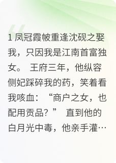 烬余录:首富皇姐的雨夜修罗场(苏晚沈砚之)最新章节