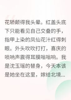 裴铮沈玉瑶沈知微替身和亲，将军却爱上了我完结版小说全文免费阅读