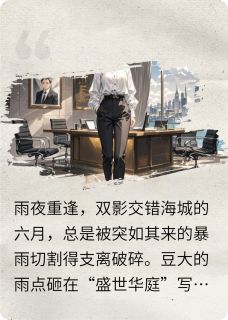 (抖音小说)沈轻舞萧景楚烬小说全文阅读免费-二筒文学网