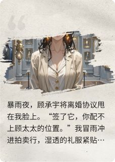 苏晚陆沉舟全本小说 离婚夜，大佬递伞又递婚戒全文免费在线阅读-二筒文学网