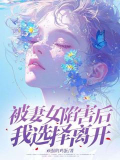 被妻女陷害后，我选择离开小说的书名是什么-二筒文学网