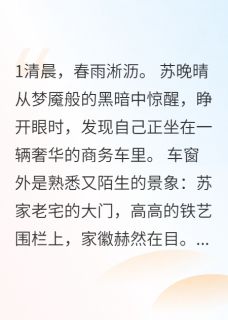苏晚晴林雪苏国霆小说章节目录阅读-真假千金：重生断亲在哪免费看-二筒文学网