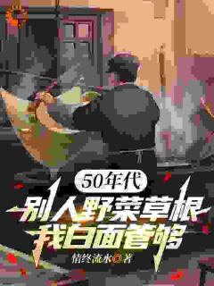 50年代：别人野菜草根，我白面管够无广告阅读 林舟林小青免费在线阅读-二筒文学网