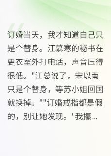 订婚当天才知道我是替身江慕寒宋以南苏晴雯小说完整在线阅读