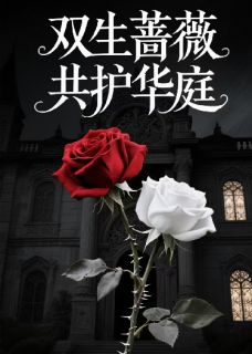 双生蔷薇，共护华庭免费阅读全文，主角苏晴林薇程岩小说完整版