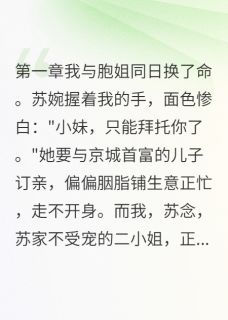 程墨苏婉全本章节在线阅读大结局-二筒文学网