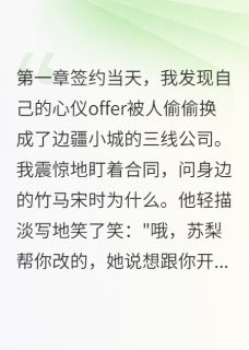 宋时苏梨是哪部小说的主角 不恨了才是最残酷的全文无弹窗-二筒文学网