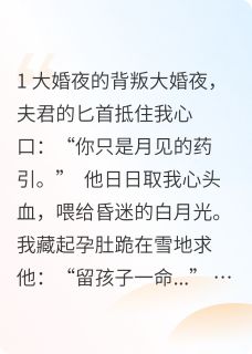 抖音小说剜心为引后，白月光醒了沈未晞萧执全文txt-二筒文学网