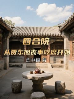 何雨柱易中海秦淮茹(原文完整)四合院：从贾东旭丧事吃席开始无弹窗免费阅读-二筒文学网