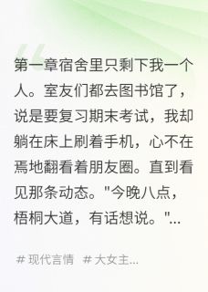 梧桐叶落时的表白柳诗雅浩然全本小说（梧桐叶落时的表白）全章节小说目录阅读-二筒文学网