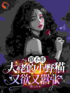 （全集-免费）撩不够，大佬的小野猫又欲又嚣张完本小说_苏姜陆晨矅全文免费阅读