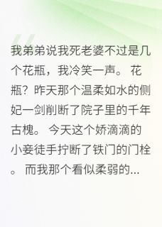 穿越王爷：我的老婆都是绝世高手（全本）苏琉璃林梦瑶江明轩完整章节列表免费阅读