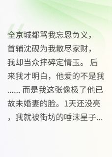 沈砚陆沉崔小说我被首辅大人道德绑架了免费阅读-二筒文学网