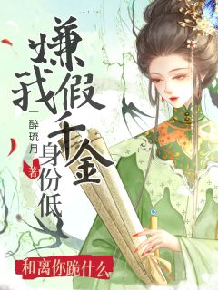 嫌我假千金身份低，和离你跪什么小说全集(楼心月沈华年若兮)无弹窗广告阅读-二筒文学网