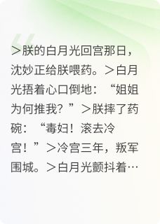 柳含烟沈妙小说结局