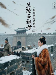 兰陵王祖母：我自择夫定乾坤无广告阅读 高欢娄昭君免费在线阅读