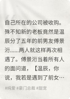 主角温辰傅景洐小说爆款星辰闪闪，爱意璀璨完整版小说-二筒文学网