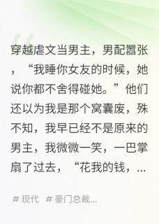 柳如烟王凯全集小说_穿越虐文当男主，我当爽文刷完结版阅读-二筒文学网