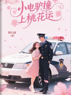 好看的小电驴撞上桃花运小说，主角林小溪陆沉最新章节阅读-二筒文学网