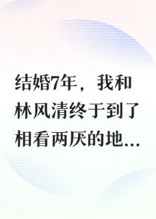 恋爱后，我决定和老公离婚小说-林风清谢安隅全篇阅读