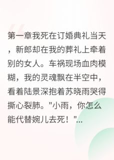苏晓雨陆景深小说最后结局  苏晓雨陆景深完结版免费阅读-二筒文学网