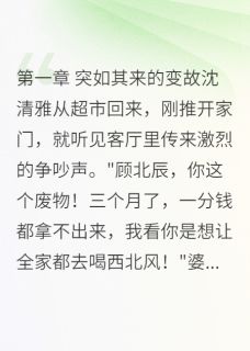 小说丈夫被包养的真相主角为顾北辰沈清雅免费阅读