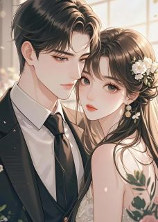 林淮安沈鸢小说全文免费阅读结婚第七年，丈夫疯狂爱上了一个实习生全文免费阅读-二筒文学网