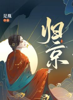 归京by是胤小说完结版在线阅读